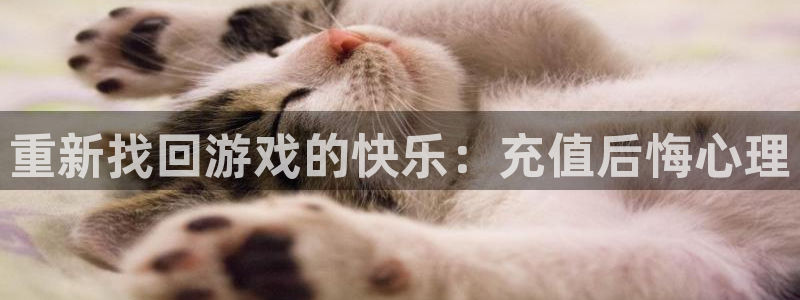 欧博娱乐平台登录线路：重新找回游戏的快乐：充值后悔心理