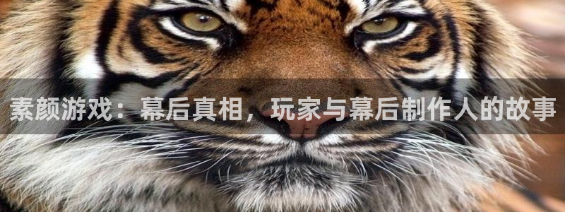 欧博娱乐注册官方登录app：素颜游戏：幕后真相，玩家与幕后制