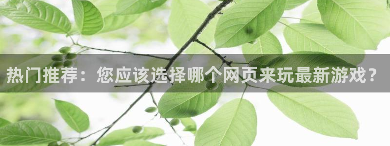 欧博娱乐网址官网：热门推荐：您应该选择哪个网页来玩最新游戏？
