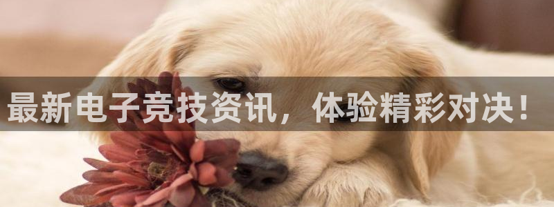 欧博娱乐app下载|下载地址：最新电子竞技资讯，体验精彩对决