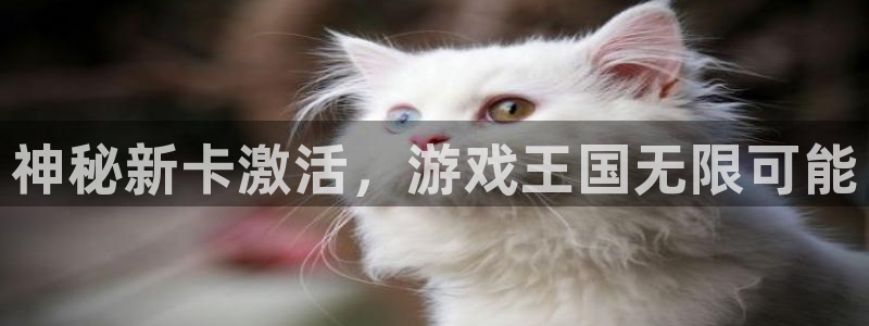 欧博娱乐娱乐：神秘新卡激活，游戏王国无限可能