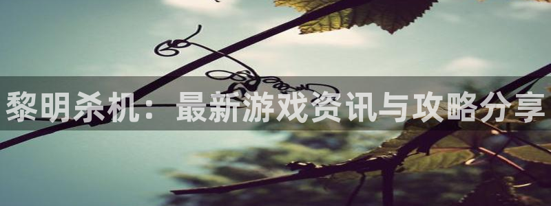 欧博娱乐登陆地址：黎明杀机：最新游戏资讯与攻略分享