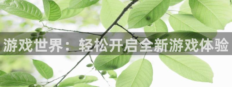 欧博娱乐app：游戏世界：轻松开启全新游戏体验