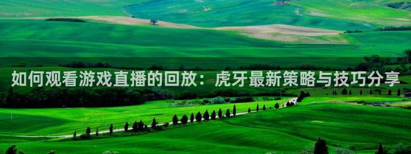 劲爆体育频道在线观看免费