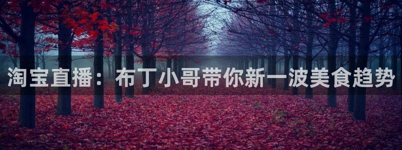 nba劲爆体育直播：淘宝直播：布丁小哥带你新一波美食趋势