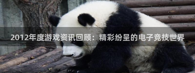 欧博平台真假：2012年度游戏资讯回顾：精彩纷呈的电子竞技世