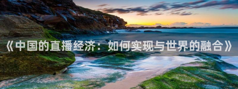 劲爆nba直播：《中国的直播经济：如何实现与世界的融合》